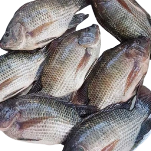 download__2_-removebg-preview (1)